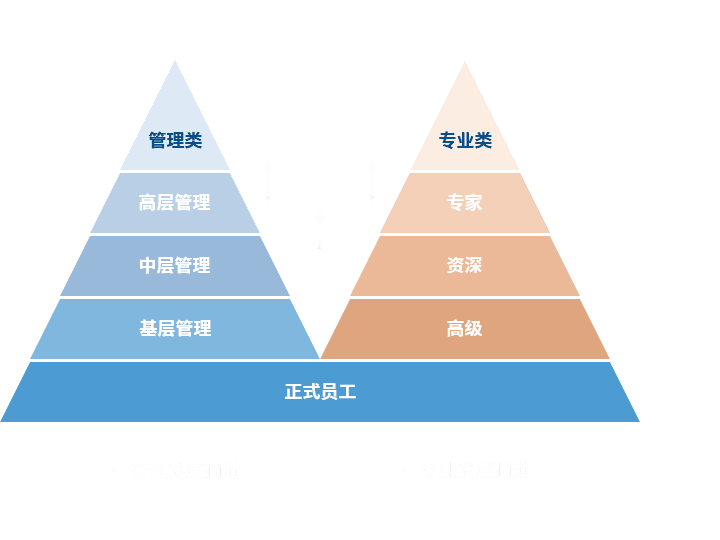 887700线路检测中心 